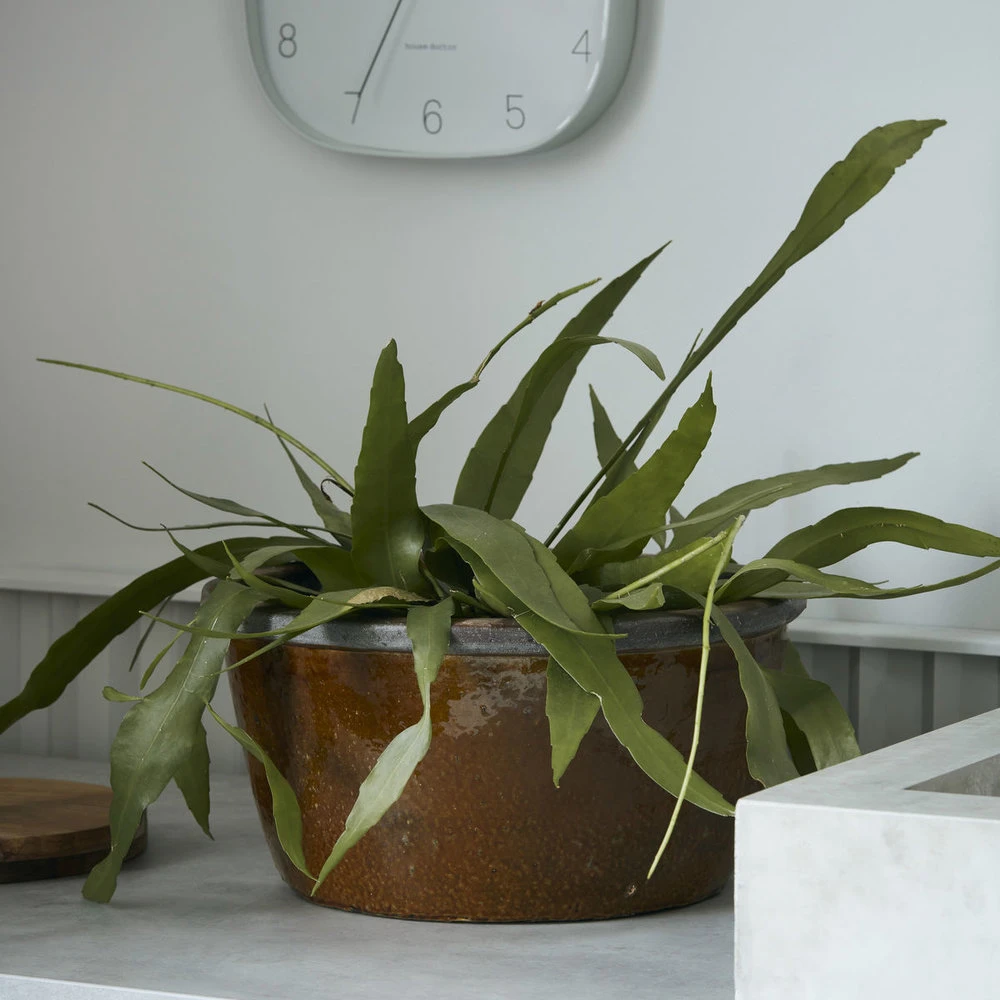 House Doctor Whai Bloempot - Mosterd 3 House Doctor Whai Bloempot - Mosterd - Afbeelding 3