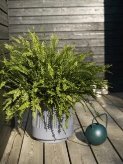 Hubsch Bloempot Set Donkergrijs -Decoratieve Artikelen Winkel hubsch bloempot set donkergrijs 2