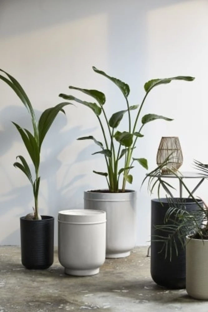 Nordal Eday Bloempotten - 29009 2 Nordal Eday Bloempotten - 29009 - Afbeelding 2